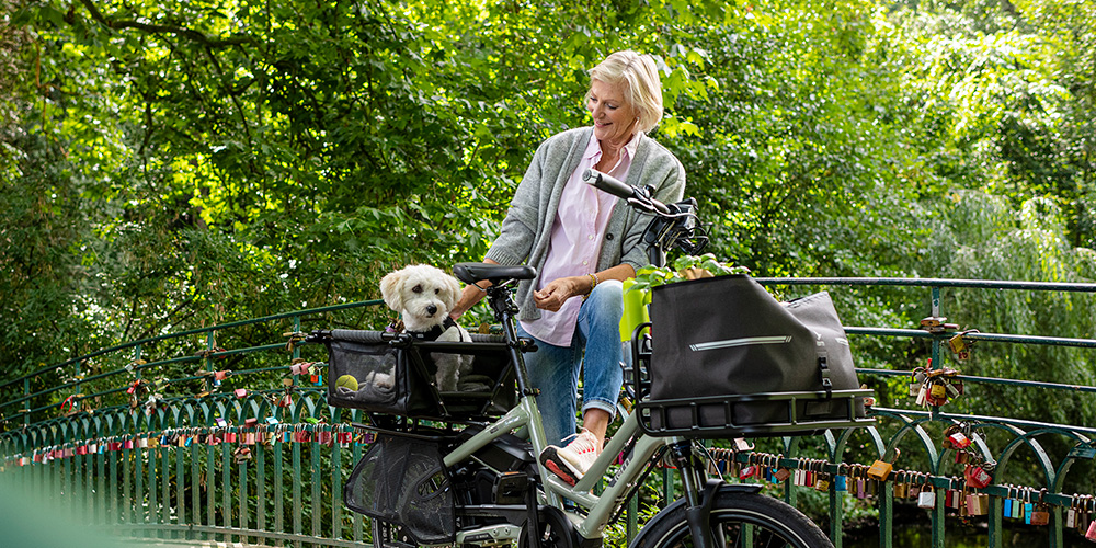HSD: cargo ebike tested for safety
