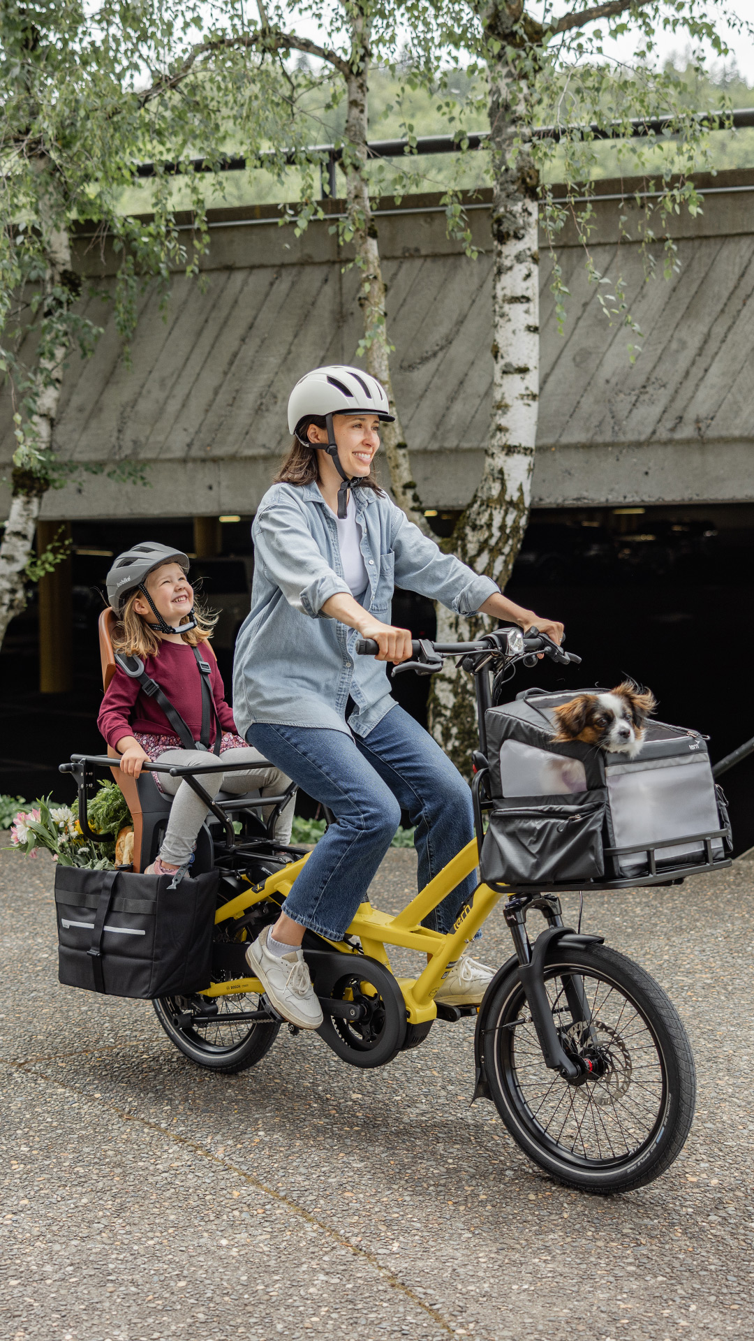 HSD: Tern Bicycles Electric Bike for 1 rear passenger