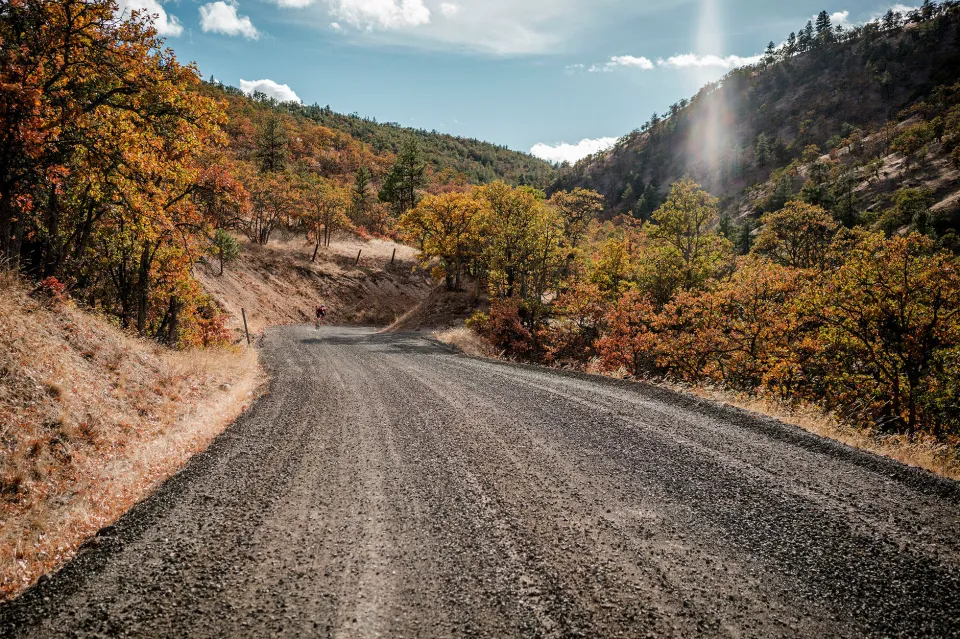 ben-guernsey-F55PvKgaZMY-unsplash_web.jpg